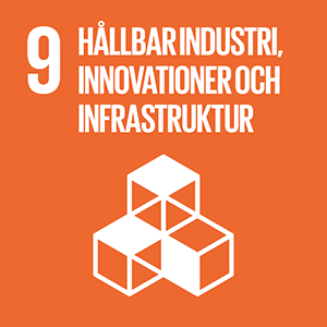 9: Hållbar industri, innovationer och infrastruktur