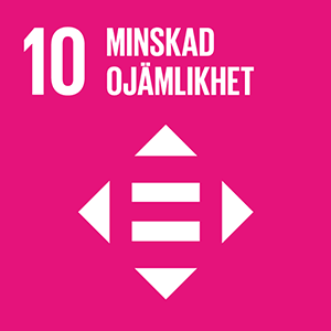 10: Minskad ojämlikhet