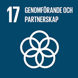 17: Genomförande och globalt partnerskap