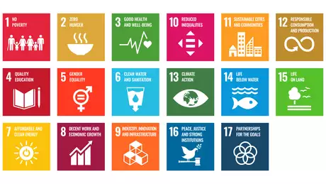Icons for SDG goals